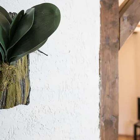 Gemuetliches Reiheneckhaus Mit Balkon * Burscheid