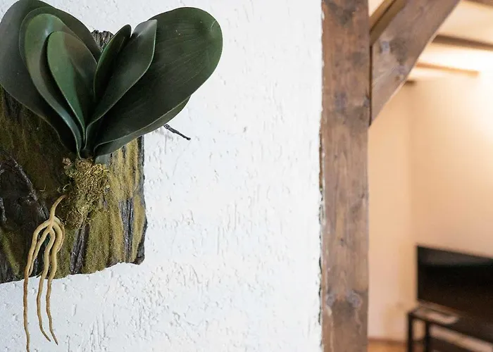 Gemuetliches Reiheneckhaus * Burscheid